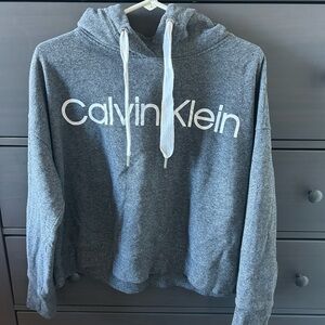 Calvin Klein Gray Hoodie Sweatshirt with Logo